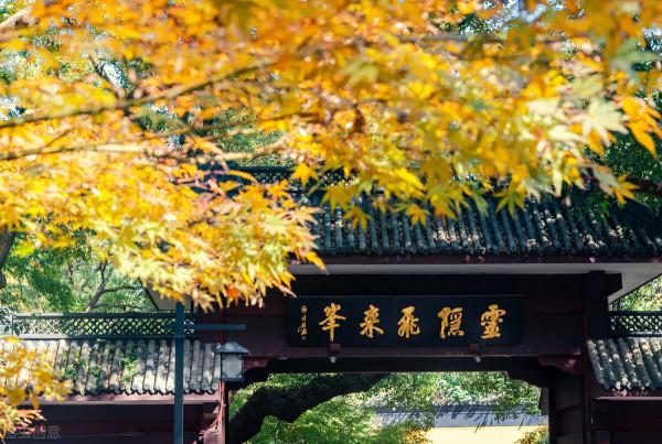 金秋十月，沉醉在江南絕美的秋色中，經典還免費