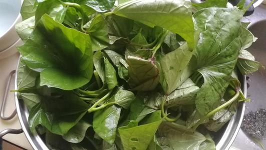 山東農村人童年“最愛的4道菜”，營養又好吃，現如今卻遭冷落