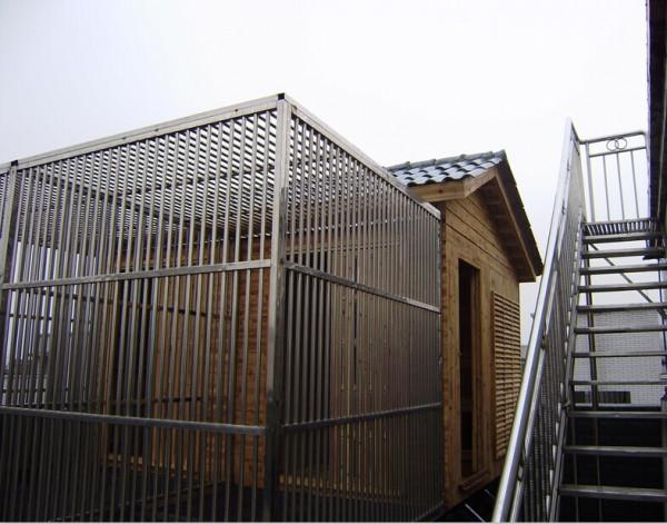 鴿舍建造款式多,但是整體要求差不多 鴿舍建造款式多,但是整體要求差不多