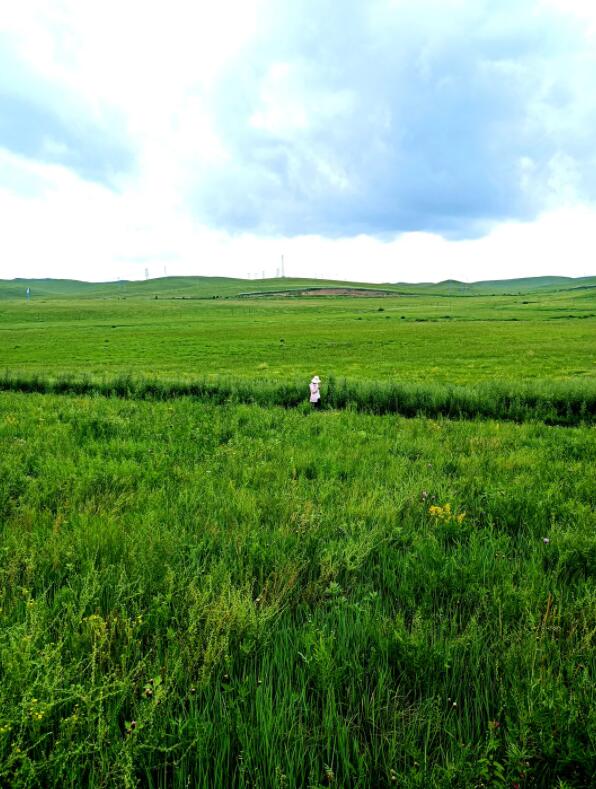 扎魯特山地草原,真3D草原 扎魯特山地草原,真3D草原