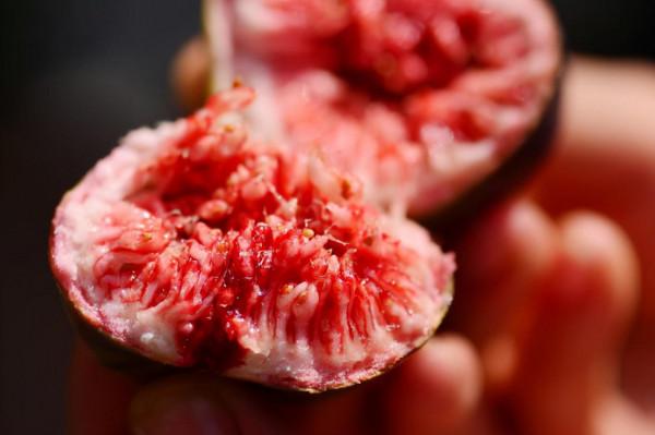 九月養無花果，避開這“三怕”，遇水瘋長，獨苗養成碩果小盆栽