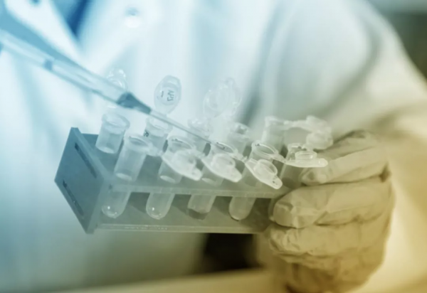 以後，可能再也沒人減肥了