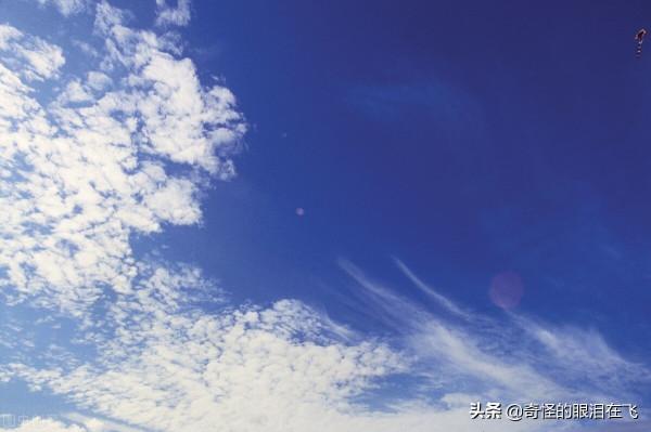 時光總是短暫的 時光總是短暫的