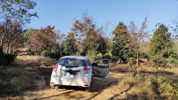 向左還是向右該何去何從，男人的野性在呼喚