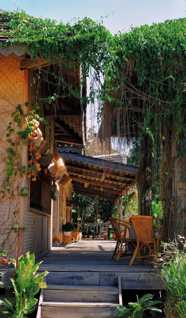 嚮往的生活5蘑菇屋現狀，圖書館被廢棄，屋裡一片狼藉，木屋發黴