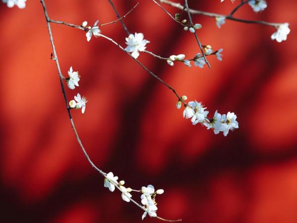 懂得順應局勢,如同黑馬的星座,看上去無慾無求,反而能為贏家 懂得順應局勢,如同黑馬的星座,看上去無慾無求,反而能為贏家