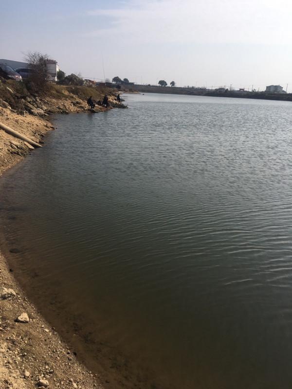 降溫後和降溫當天漁獲差距是真大