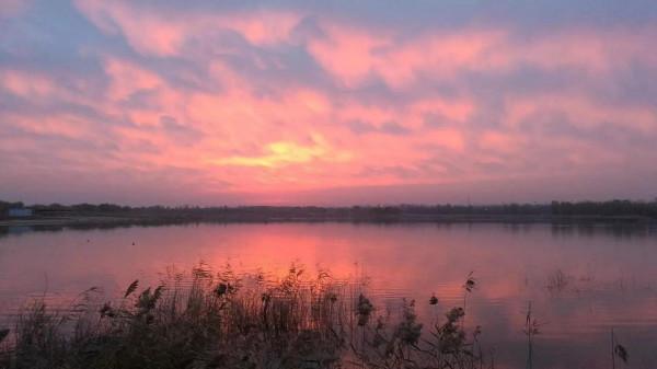網際網路是有記憶的——一個人的網際網路史