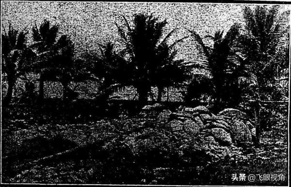 一沙一島一故事-雙礁才露尖尖角，雙黃沙洲往事