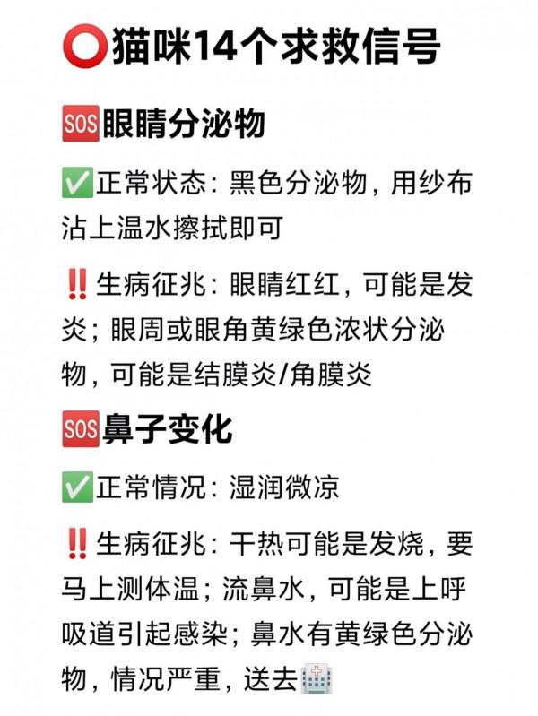 貓咪生病的14個訊號！早發現能救命