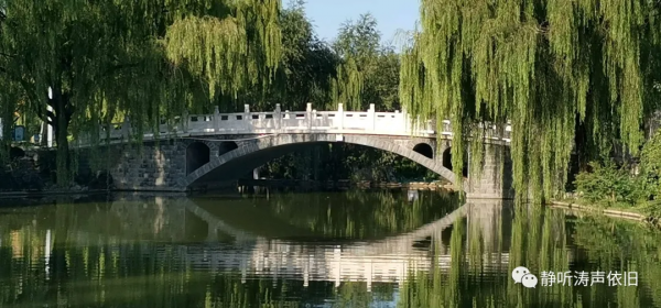 我這樣和孩子談心，你覺得如何