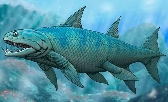 人都是女人生的,那麼在沒有人類之前,第一個女人是哪裡來的? 人都是女人生的,那麼在沒有人類之前,第一個女人是哪裡來的?