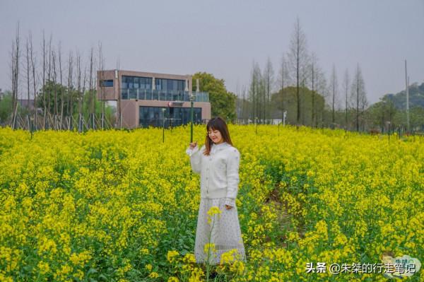 打卡國內幾處絕美的賞秋勝地，品味“人間最美是清秋！”