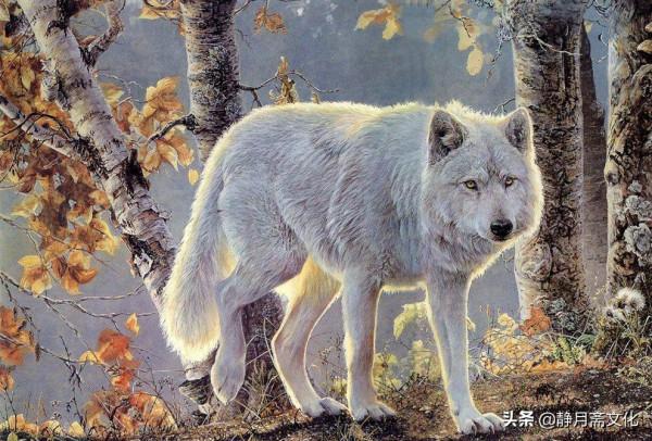 民間故事：男子夜走山路，見美婦上前抱住，數日後丟了小命