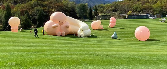 打造全球神往的森林群島“度假星球”