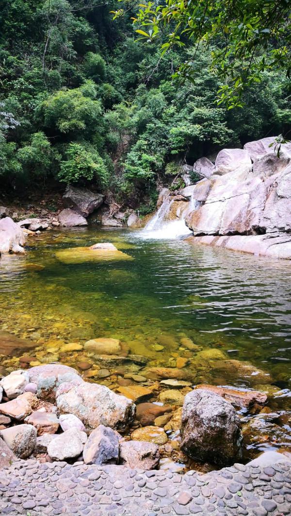 分享—十萬大山風光