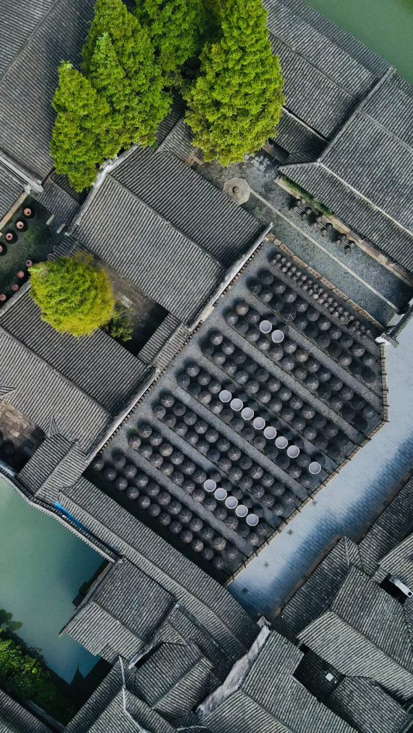 沉浸式體驗10000㎡水鄉秘境，住loft星空房，不輸奢牌品質度假