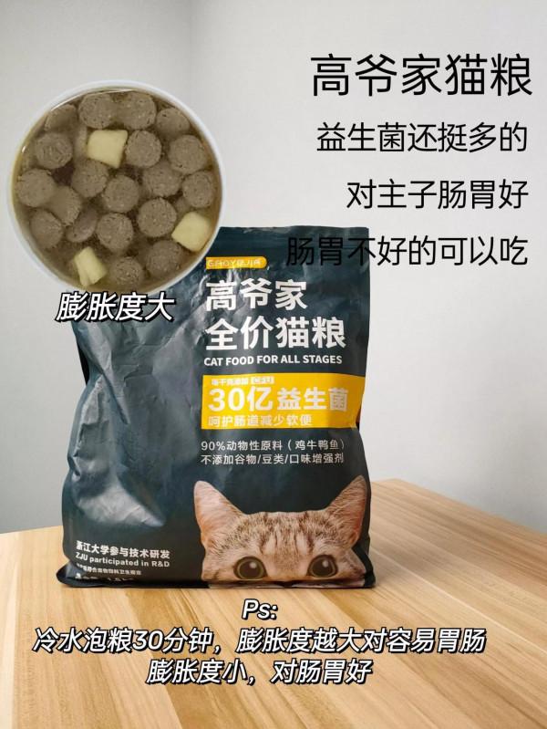 泡水看出貓糧好壞！別說不會選貓糧了
