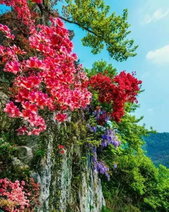 中國的“十大”，快來看看...