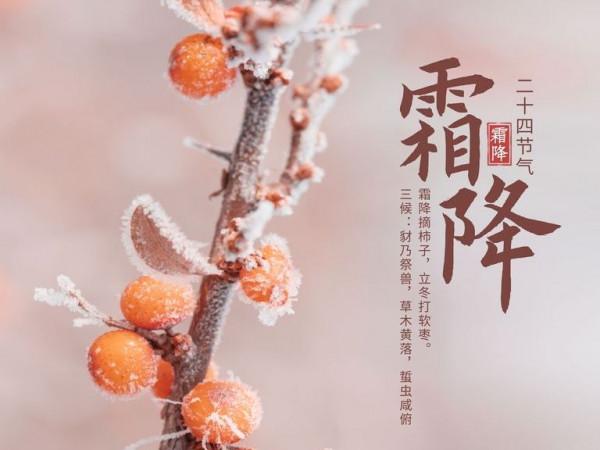 今日霜降,記得多吃三白、三紅,少食三樣,順應節氣平安度秋 今日霜降,記得多吃三白、三紅,少食三樣,順應節氣平安度秋