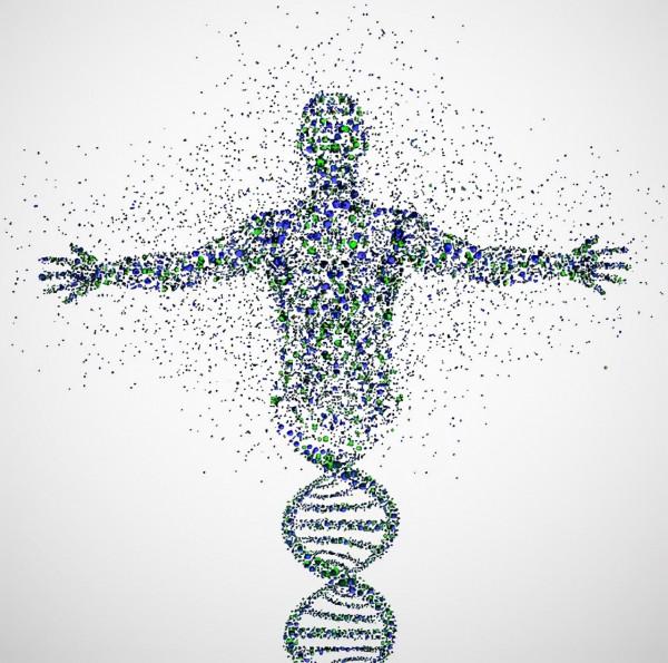 人在火化時會經歷什麼?骨灰之中有人體基因嗎? 人在火化時會經歷什麼?骨灰之中有人體基因嗎?