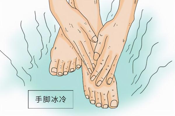 冬天手腳冰冷?當歸四逆湯,養血通脈散寒,讓您手溫腳暖 冬天手腳冰冷?當歸四逆湯,養血通脈散寒,讓您手溫腳暖