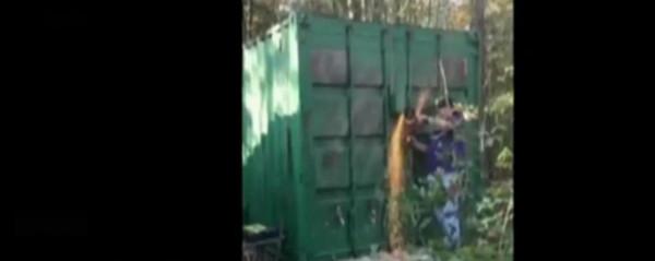 2016年,美國一對情侶失蹤,65天后,發現女受害人像狗一樣被拴著 2016年,美國一對情侶失蹤,65天后,發現女受害人像狗一樣被拴著