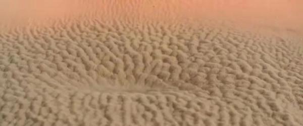 影評:《沙丘》——給我整不會了 影評:《沙丘》——給我整不會了