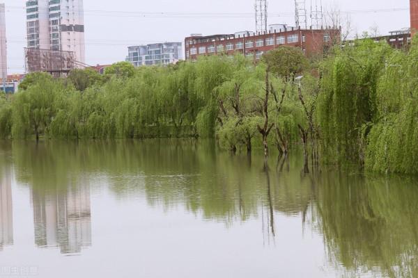 有關江西省的二十四個冷知識，看完才知道原來江西有這麼多稱號
