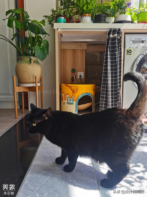 玄關打了4個櫃子,全屋還有10個,這位姐姐是狠人實錘了 玄關打了4個櫃子,全屋還有10個,這位姐姐是狠人實錘了