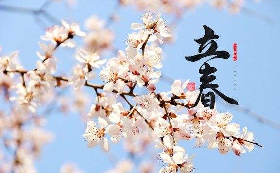 立春後，這6道湯多給孩子喝，貴也別省，孩子猛長個，身體變結實