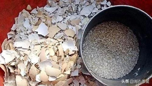 花友小常識：這幾樣東西配花土，不爛根，長勢旺