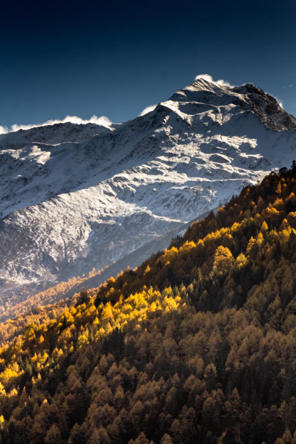 為什麼全國都愛四川的秋天! 為什麼全國都愛四川的秋天!
