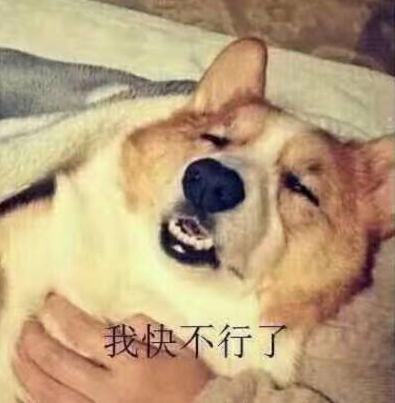 篡位、暗殺、宮鬥┃泰國王室800年，“十世而亡”詛咒即將應驗？