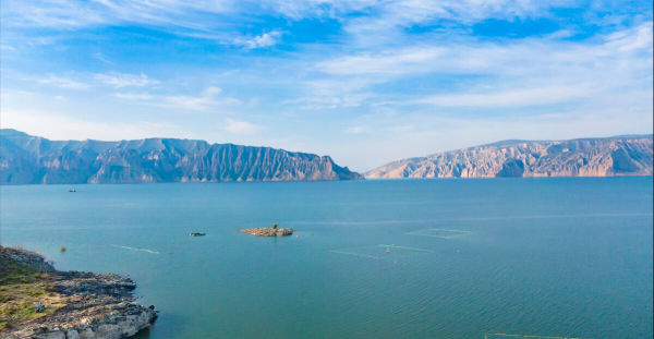 龍羊峽的隱憂:花30年養一條虹鱒,“漏網之魚”已侵入黃河? 龍羊峽的隱憂:花30年養一條虹鱒,“漏網之魚”已侵入黃河?