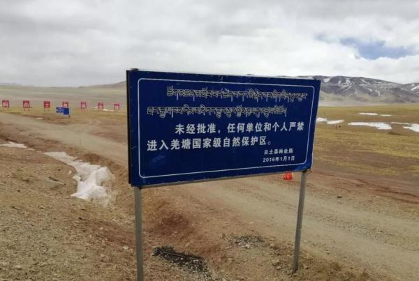 可可西里為啥不允許隨意進入？帶你深度瞭解這一“人類禁區”