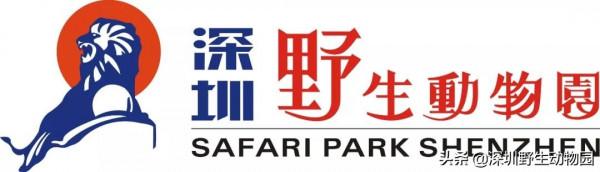 福虎開心驛站「 i 老虎 you」