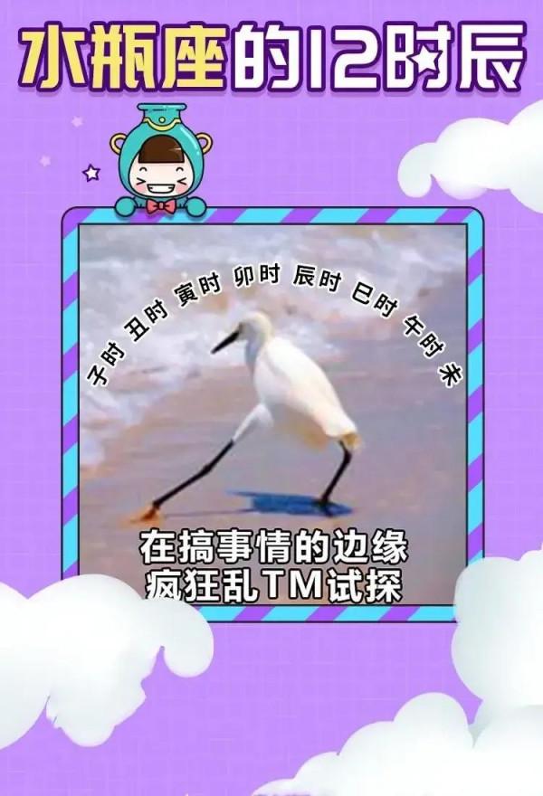 十二星座的十二時辰都在幹什麼？