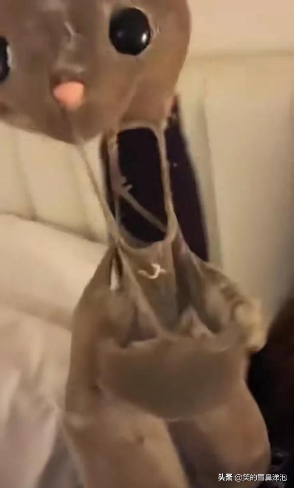 那些陪你長大的小毯子還在嗎？