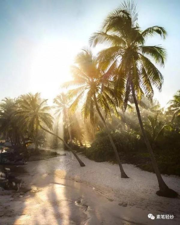 你好，2月18日｜願你一路驚喜，滿載而歸