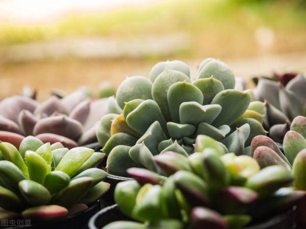 一歲有一歲的味道，一站有一站的風景：正確對待各種不如意