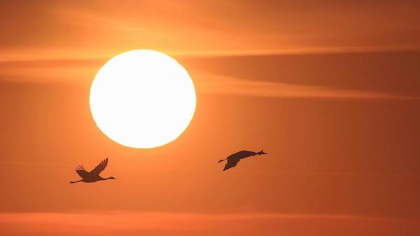 莊子：不輕易評論別人的苦難，才能收穫好人緣