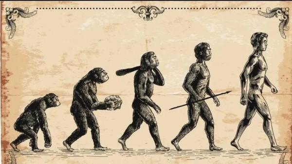 人類的起源——類人猿是如何變成人的？