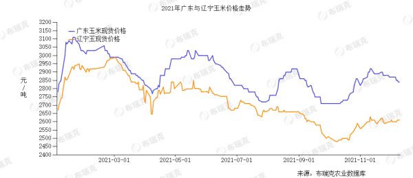“瘋狂”的玉米：去年囤糧淨賺5000萬，今年為何會破產