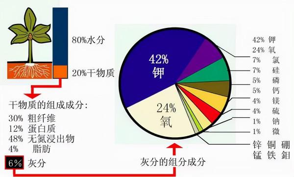 超全植物肥料知識,建議收藏 超全植物肥料知識,建議收藏