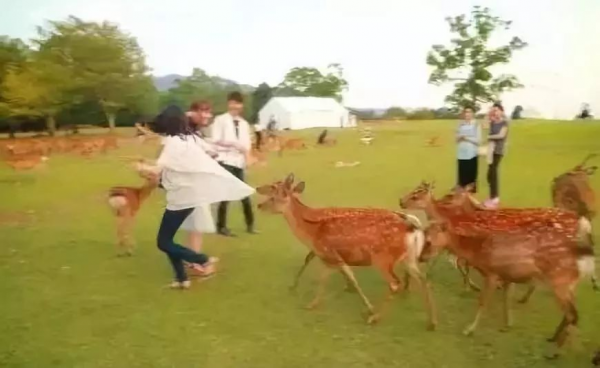 這個國慶假期，網紅景點濾鏡把我騙慘了……