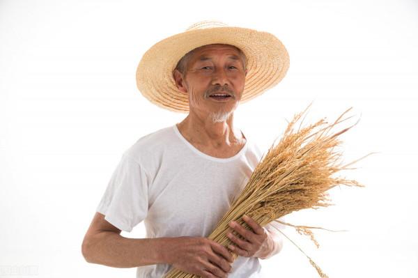 好事將近！2022年，養老金將有5大新變化，其中2個與農村朋友有關