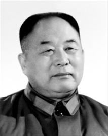 李德生的追悼會：李訥與丈夫出席，戰士抬棺徐行，鄉親盼將軍歸根