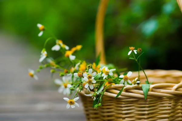 夜讀｜十二字以內的“神仙短句”，絕