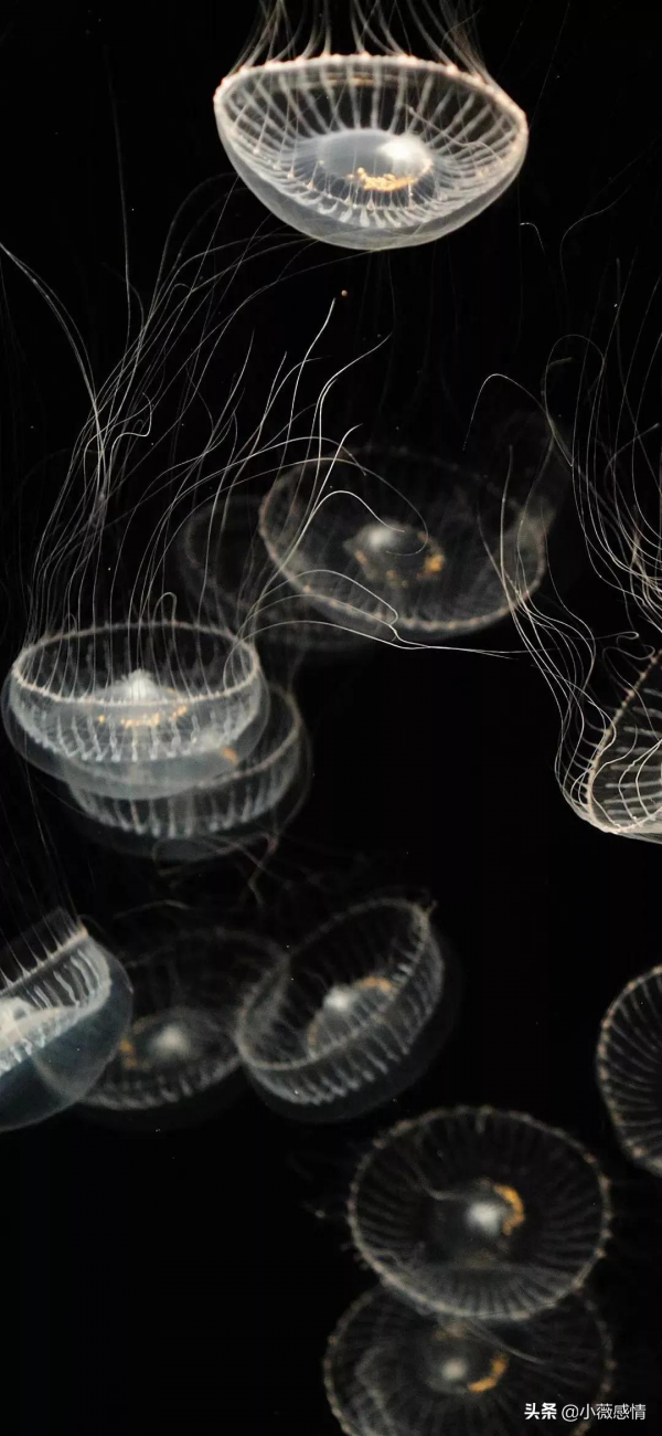 十二月，太多盼頭了